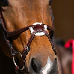 Bridons*Jump'In - Bridon muserolle croisée Evolution noisette Marron