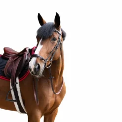 Bridons*Jump'In - Bridon muserolle allemande Evolution havane Marron