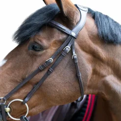 Bridons*Jump'In - Bridon muserolle allemande Evolution havane Marron