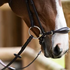 Bridons*Jump'In - Bridon muserolle allemande Evolution havane Marron