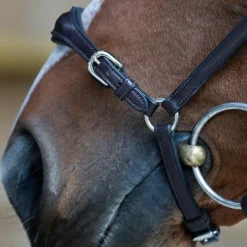 Bridons*Jump'In - Bridon muserolle allemande Evolution havane Marron