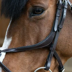 Bridons*Jump'In - Bridon muserolle croisée Evolution havane Marron