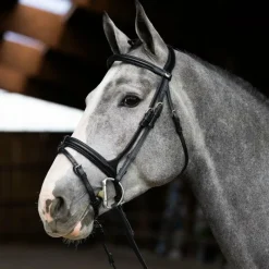 Clearance - Bridon muserolle combinée Evolution Bridons