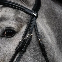 Clearance - Bridon muserolle combinée Evolution Bridons