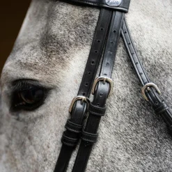 Clearance - Bridon muserolle combinée Evolution Bridons