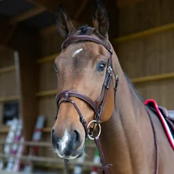 Discount - Bridon muserolle combinée Evolution noisette Bridons