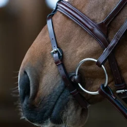 Discount - Bridon muserolle combinée Evolution noisette Bridons