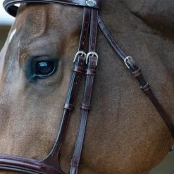 Discount - Bridon muserolle combinée Evolution noisette Bridons