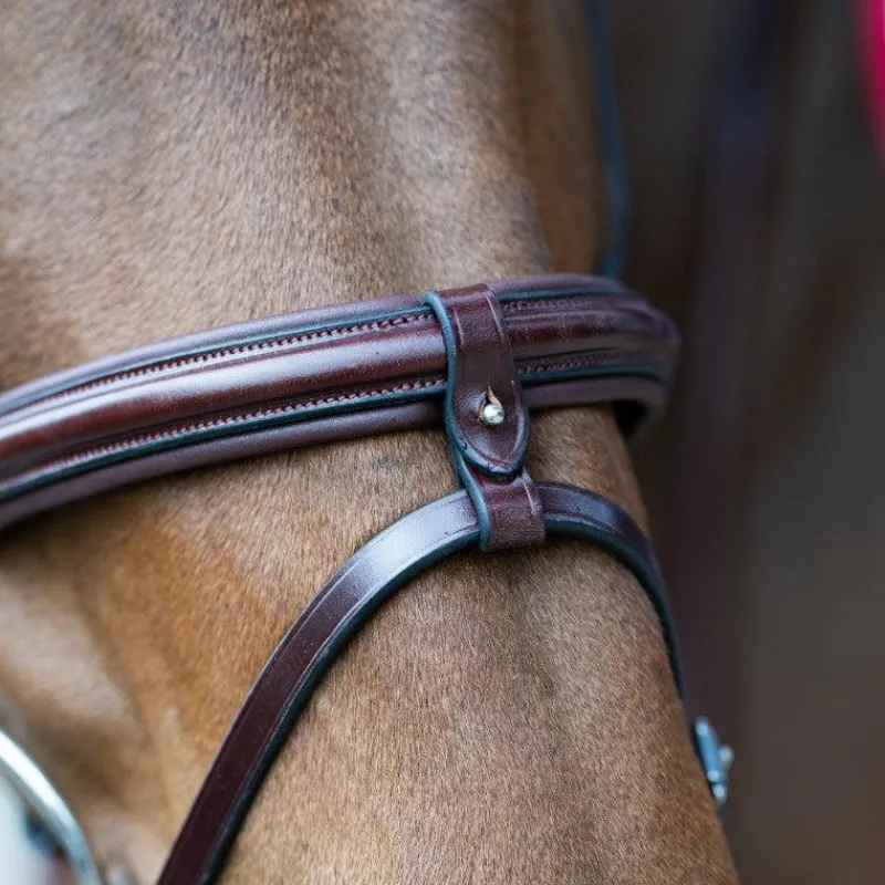 Discount - Bridon muserolle combinée Evolution noisette Bridons