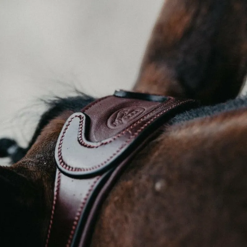 Discount - Bridon muserolle combinée Evolution noisette Bridons