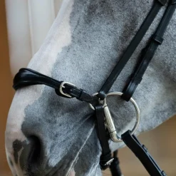 Bridons*Jump'In - Bridon muserolle allemande Evolution Noir