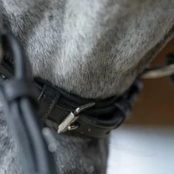 Bridons*Jump'In - Bridon muserolle allemande Evolution Noir