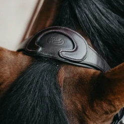 Sale - Bridon muserolle combinée Evolution havane Bridons