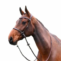 Bridons*Jump'In - Bridon One bitless Noisette