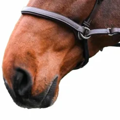 Bridons*Jump'In - Bridon One bitless Noisette