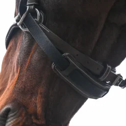 Bridons*Jump'In - Bridon One bitless Noisette