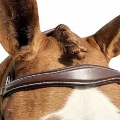 Horseball|Cso*Jump'In - Bridon One Bruxelles avec rênes Noisette