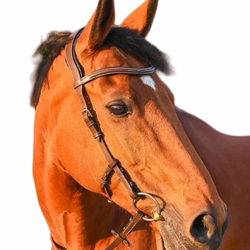 New - Bridon One liberty / noir Bridons