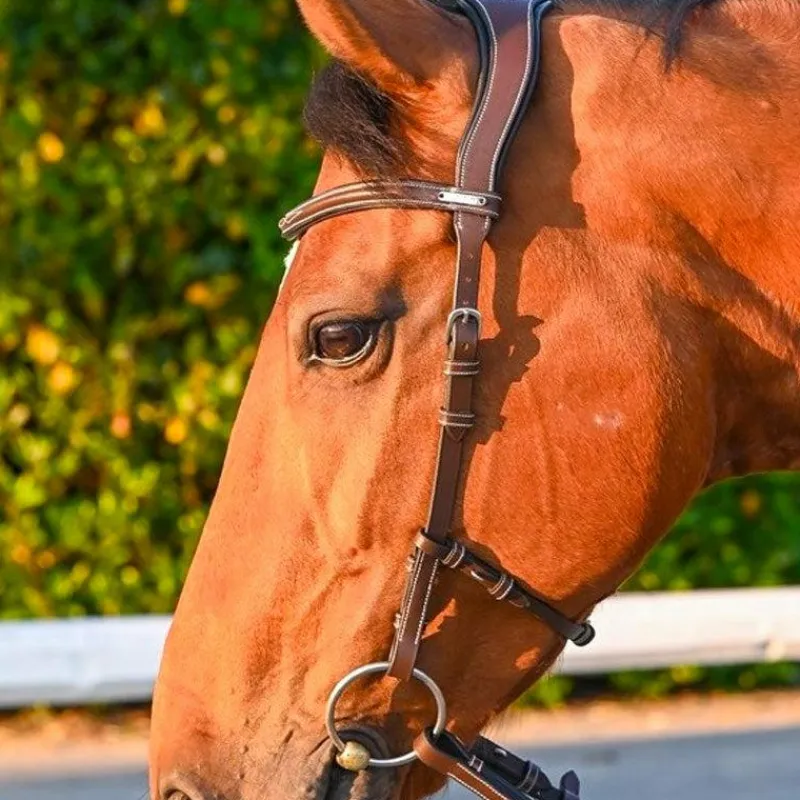 New - Bridon One liberty / noir Bridons