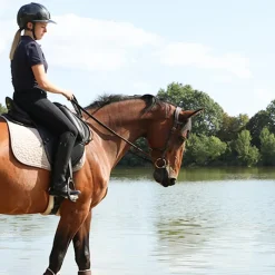 New - Bridon One liberty / noir Bridons