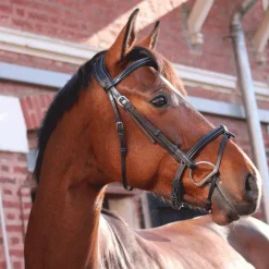 - Bridon One London avec rênes Horseball|Bridons