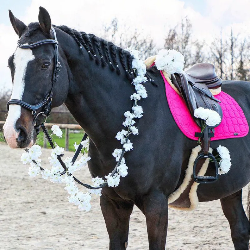 Cso|Bridons*Jump'In - Bridon One New York avec rênes Noir