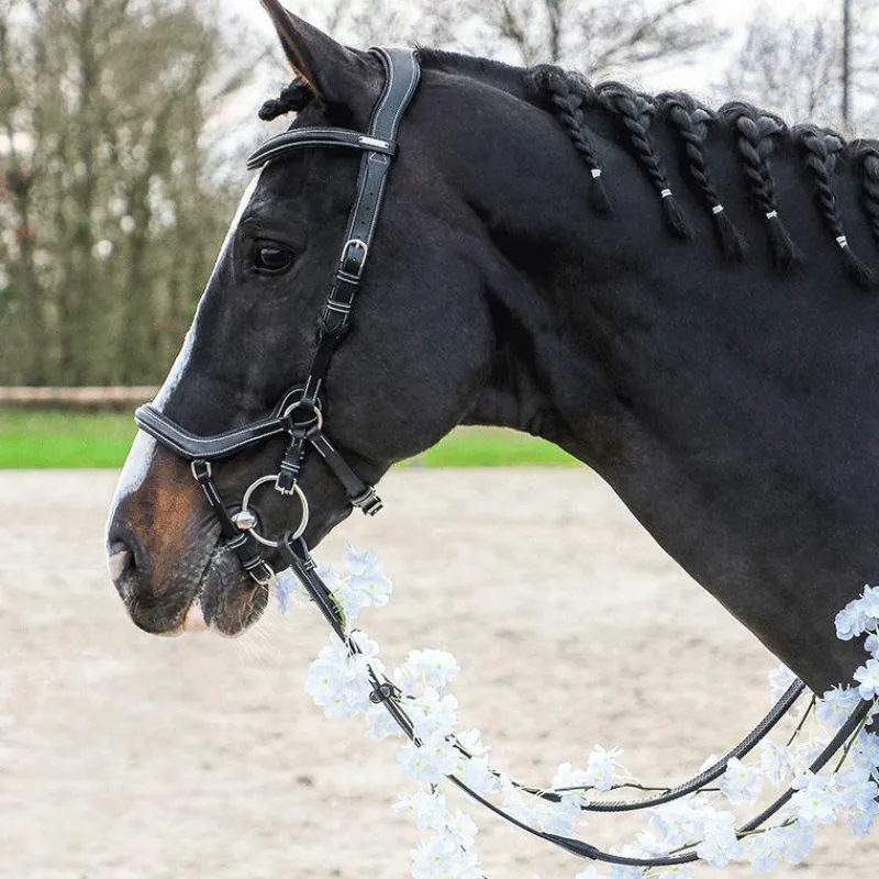 Cso|Bridons*Jump'In - Bridon One New York avec rênes Noir