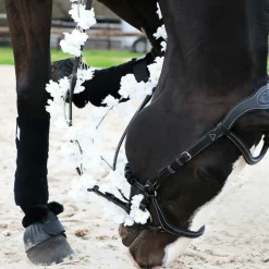 Cso|Bridons*Jump'In - Bridon One New York avec rênes Noir