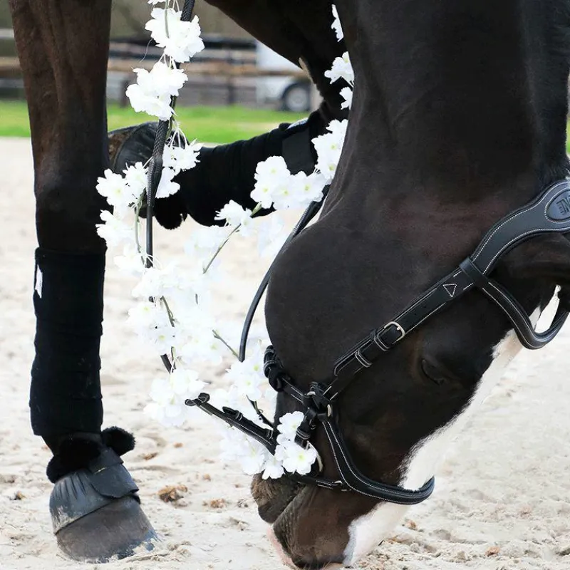 Cso|Bridons*Jump'In - Bridon One New York avec rênes Noir