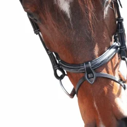 - Bridon One Paris avec rênes Horseball|Bridons