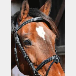 - Bridon One Paris avec rênes Horseball|Bridons