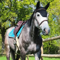 Horseball|Cso*Jump'In - Bridon One Paris avec rênes Noisette
