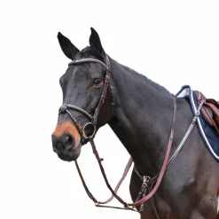 Bridons*Jump'In - Bridon One Premium Clincher Havane