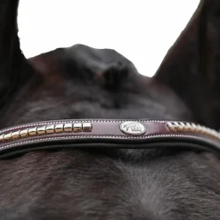 Bridons*Jump'In - Bridon One Premium Clincher Havane