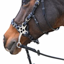 Bridons*Jump'In - Bridon One Premium Hackamore Havane