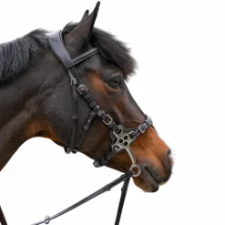 Bridons*Jump'In - Bridon One Premium Hackamore Havane
