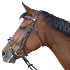 Discount - Bridon Tuesday collection Week Bridons