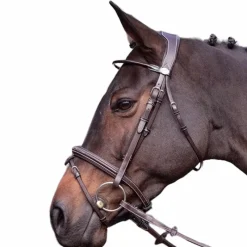 New - Bridon Wednesday muserolle combinée Bridons