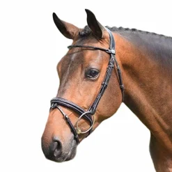 Online - Bridon Wednesday muserolle combinée Bridons