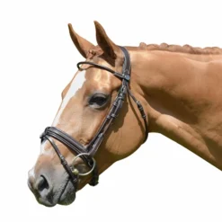 Discount - Bridon Week Friday avec rênes Bridons|Cso