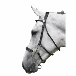 Bridons|Cso*Jump'In - Bridon Week Hackamore avec rênes Noir