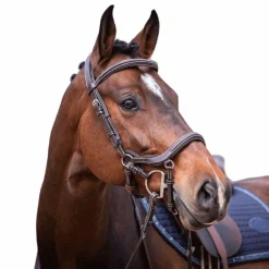 Cso|Bridons*Jump'In - Bridon Week Summer havane