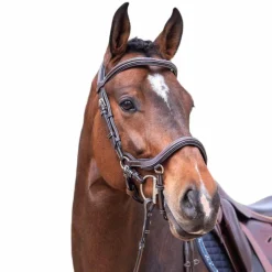 Cso|Bridons*Jump'In - Bridon Week Summer havane