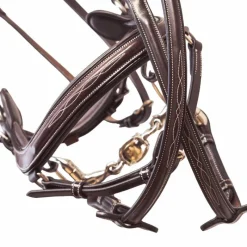 Cso|Bridons*Jump'In - Bridon Week Summer havane