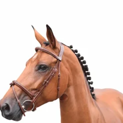 Cso|Bridons*Jump'In - Bridon Week Thursday muserolle combinée avec rênes