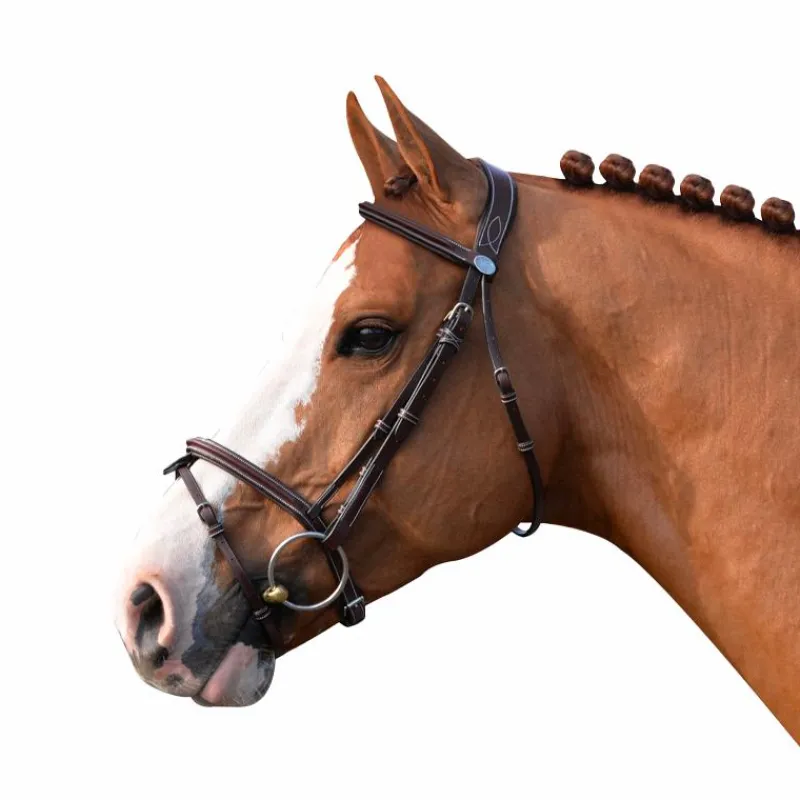 Sale - Bridon Week Tuesday avec rênes Bridons|Cso