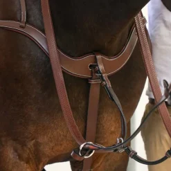 Horseball|Concours Complet D'Equitation*Jump'In - Collier de chasse 5 points + martingale One Noisette