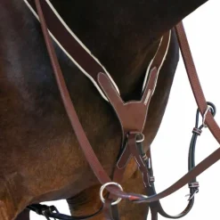 Sale - Collier de chasse élastique + martingale One Noisette Horseball|Concours Complet D'Equitation
