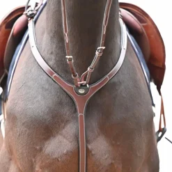 Sale - Collier de chasse et fourche de martingale Premium Clincher havane Colliers De Chasse