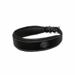 Colliers*Jump'In - Colliers pour chien